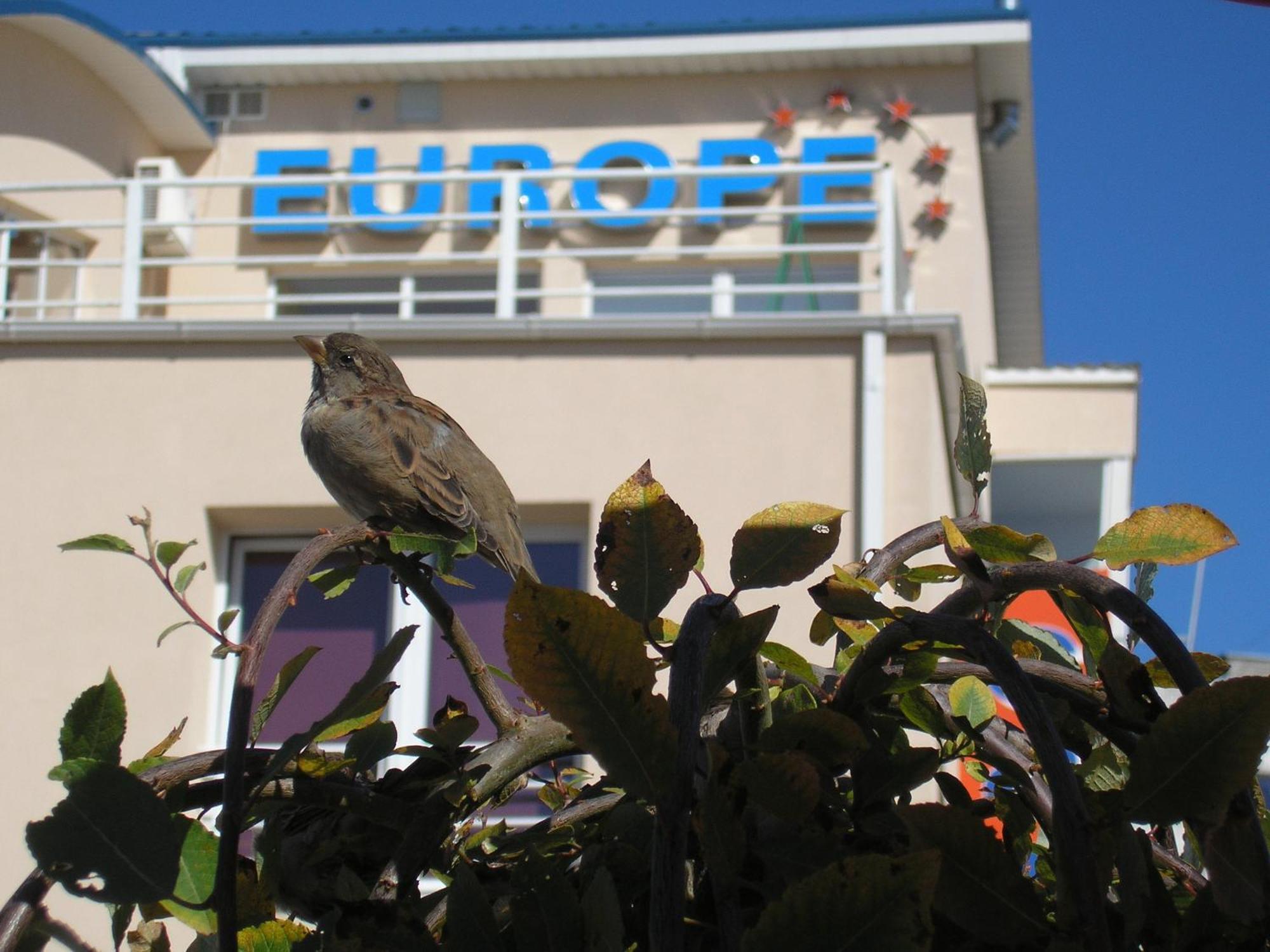 Europe Guesthouse Narva Exterior foto